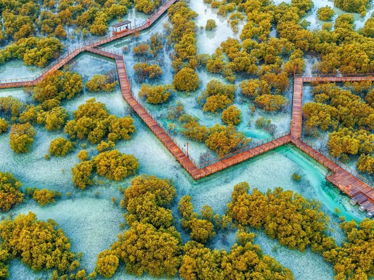 Abu Dhabi Launches New Biodiversity Conservation Policy