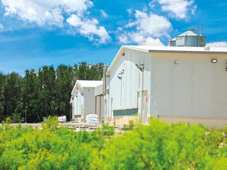 Al Jazira Poultry Farm Innovates UAE Egg Market