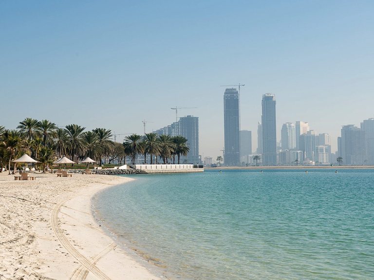 Authorities Remove Dead Cow from Al Mamzar Beach