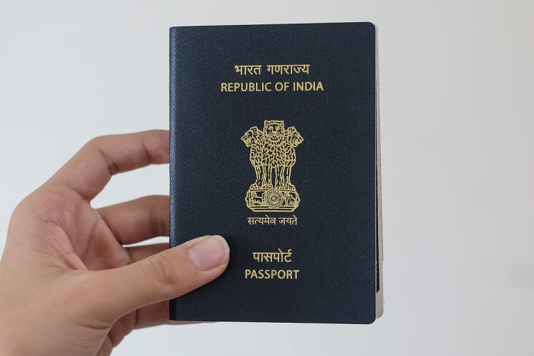 BLS International's Debarment: Impact on UAE Visa Services
