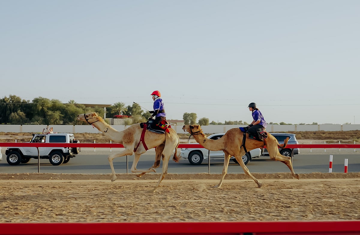 C1 Championship: Empowering Women in Camel Racing