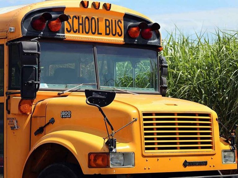 Calls for Enhanced Student Transport Safety in Oman