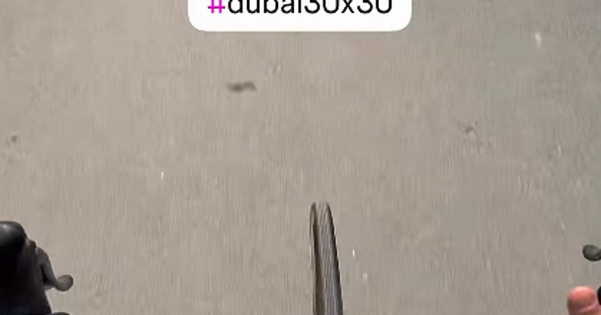 Dubai Fitness Challenge Kicks Off with Sheikh Hamdan