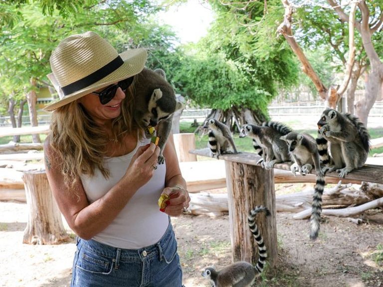 Dubai Safari Park Reopens with New Features on October 14