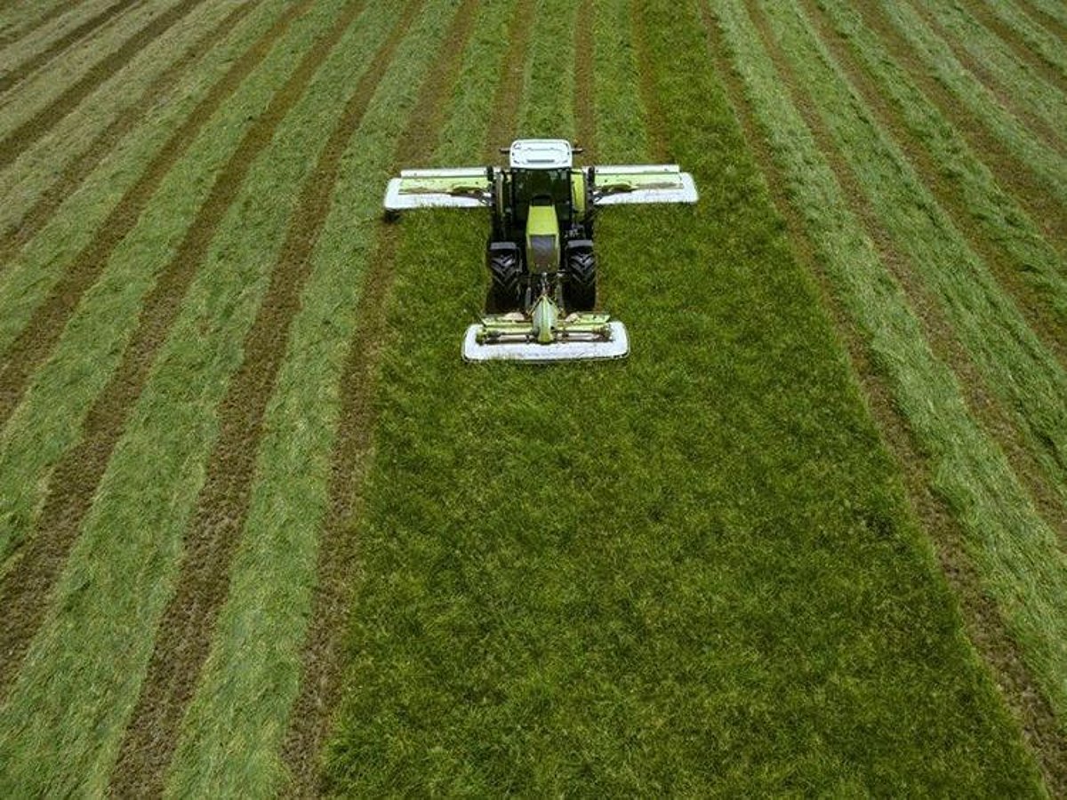 Fertiglobe Sees Profit Surge Driven by Urea Price Increases