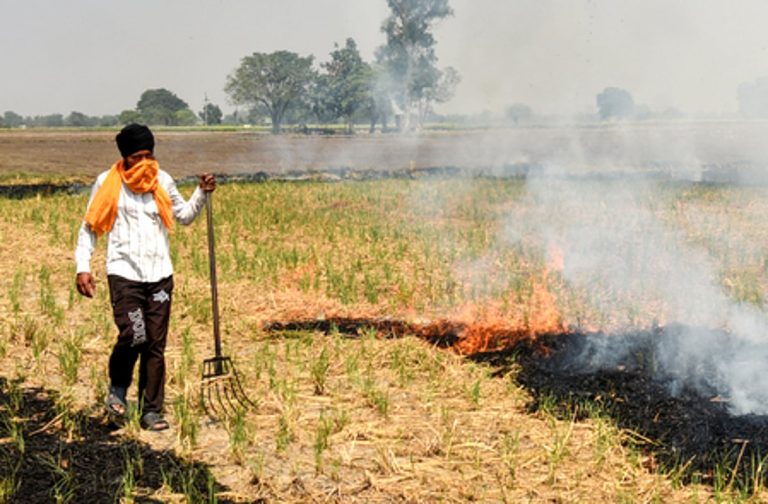 Floods Reduce Stubble Burning, Improve Delhi Air Quality