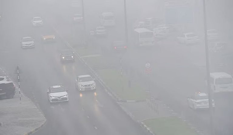 Fog and Rain Advisory for Abu Dhabi Residents Today
