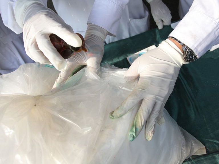 Kuwait Enacts Tougher Anti-Drug Law with Random Testing