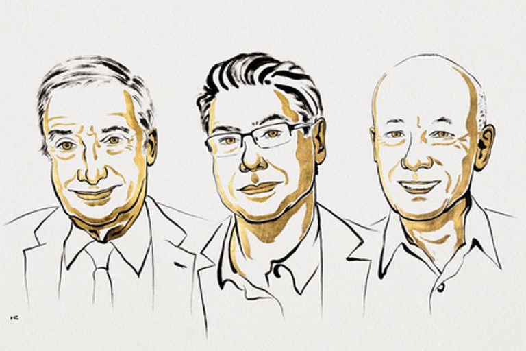 Nobel Prize in Economics Awarded for Innovation Insights