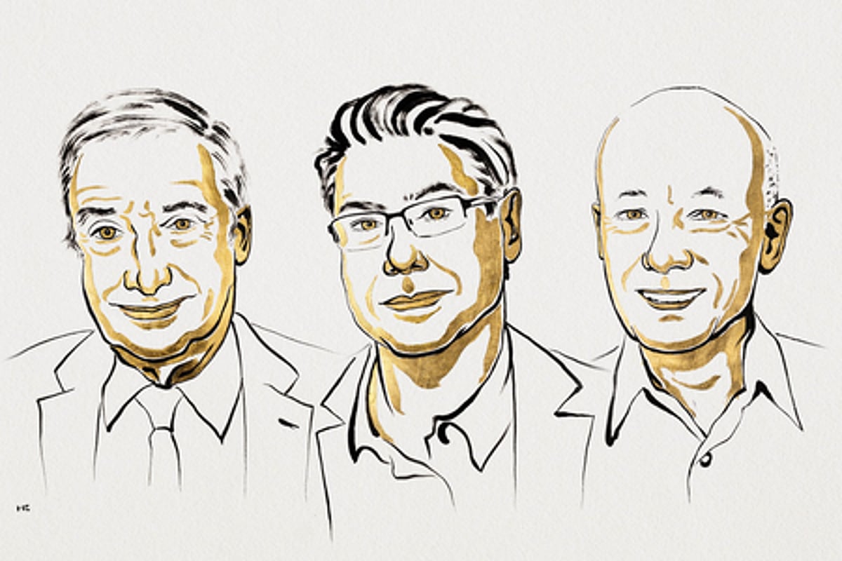 Nobel Prize in Economics Awarded for Innovation Insights