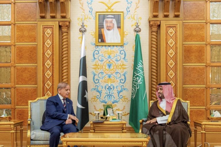 Pakistan and Saudi Arabia Launch Economic Cooperation Framew
