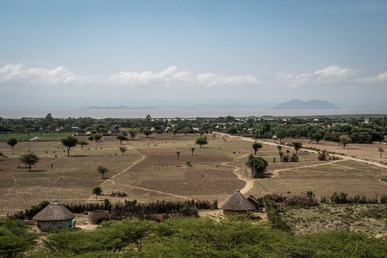 Rift Valley Fever Outbreak in Senegal Claims 20 Lives