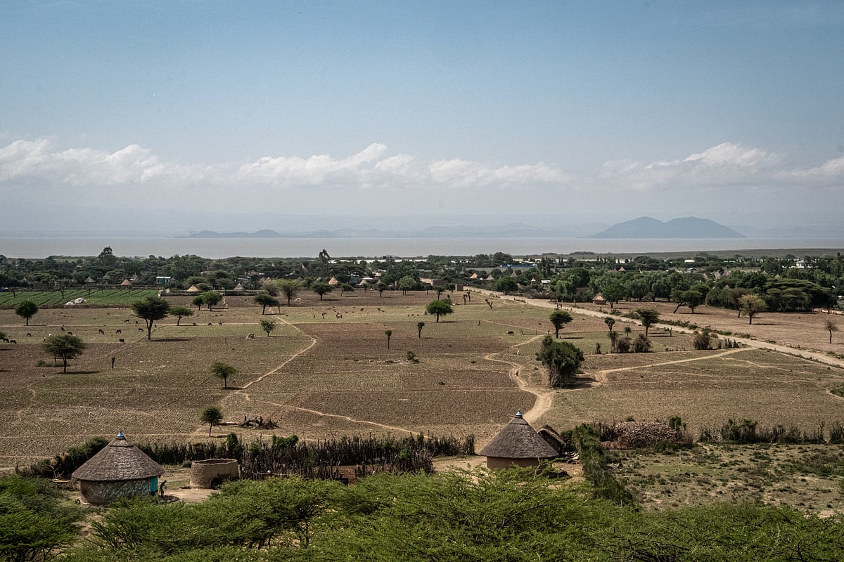 Rift Valley Fever Outbreak in Senegal Claims 20 Lives