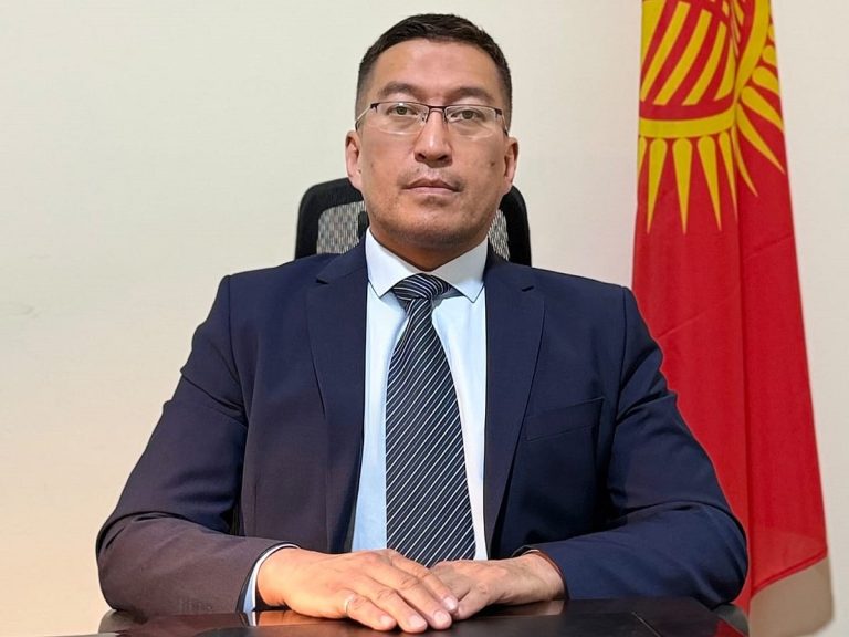 Strengthening Kyrgyzstan-UAE Ties for Investment and Tourism