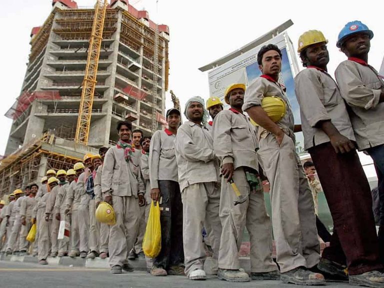 UAE Labor Market Sees Record Participation and Low Unemploym