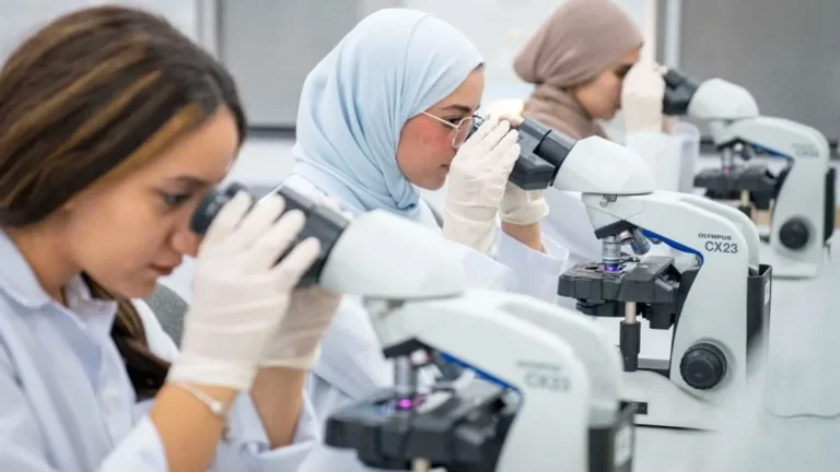 Ajman University campus showcasing academic excellence and research collaboration.