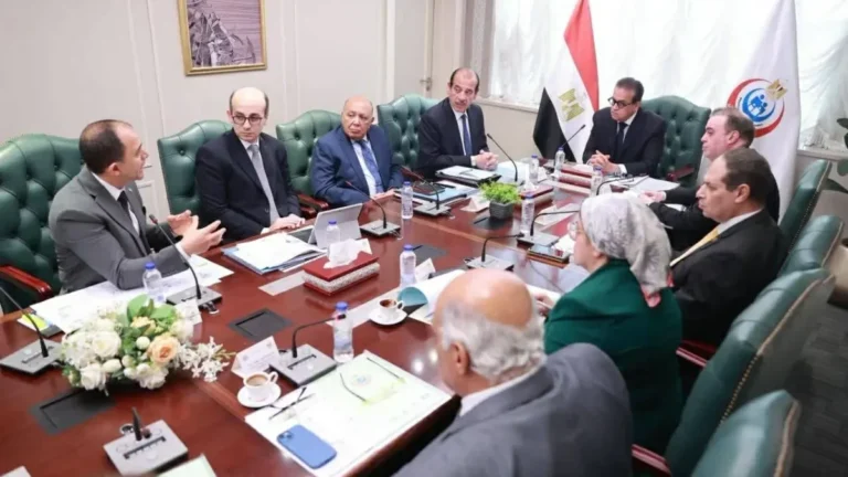 Health officials discussing digital pathology network project in Egypt.