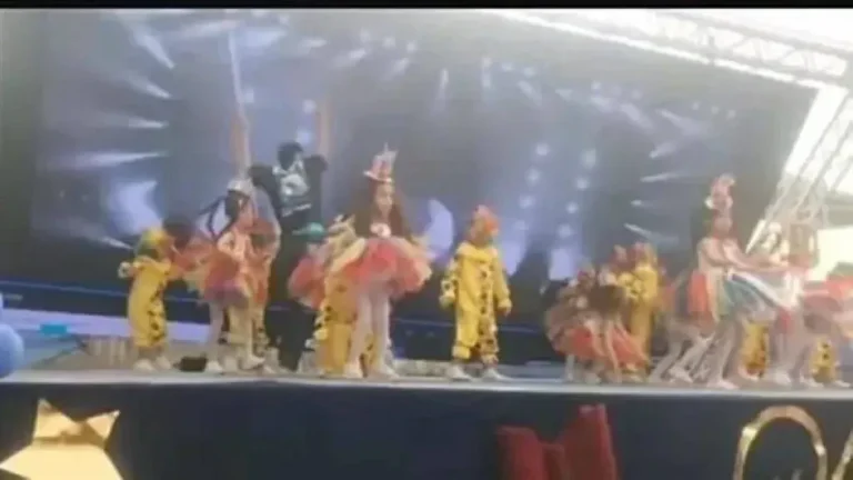 Scene of a school play in Giza where a large screen fell, causing panic.